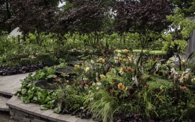 garden 2
